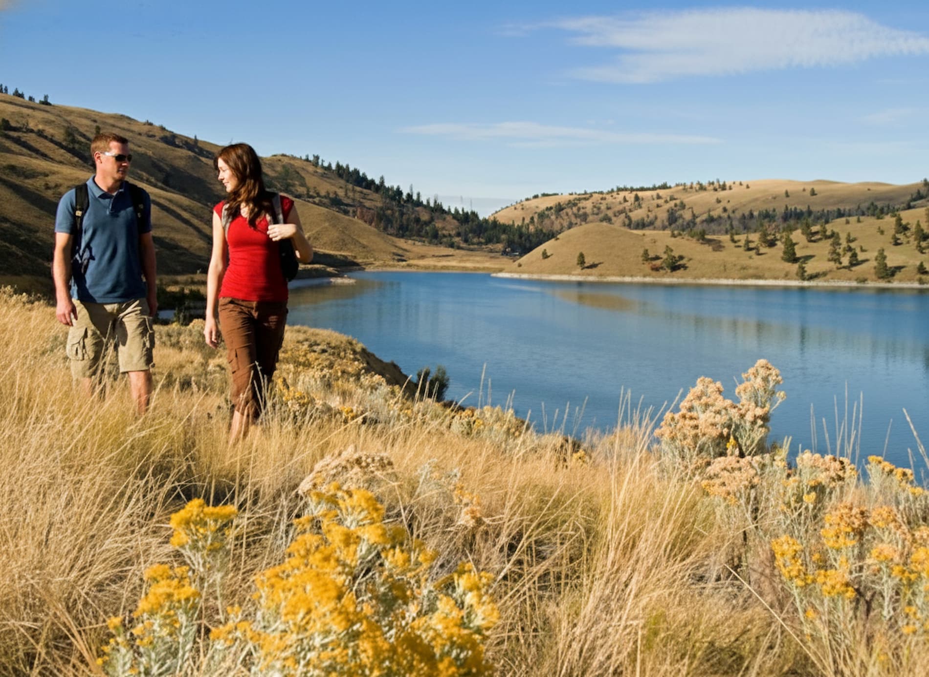 Nicola Valley landscape background